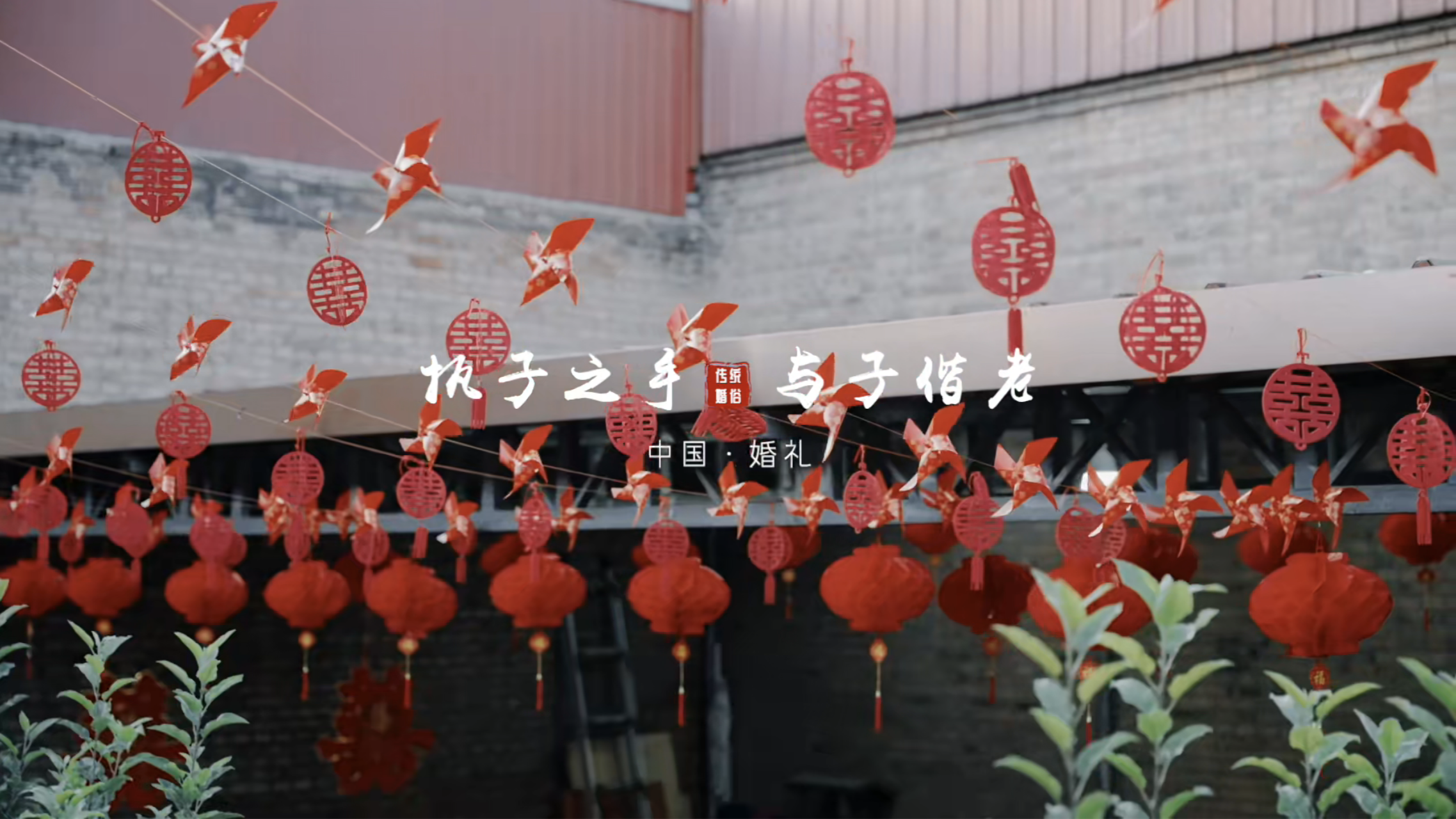 项目图集